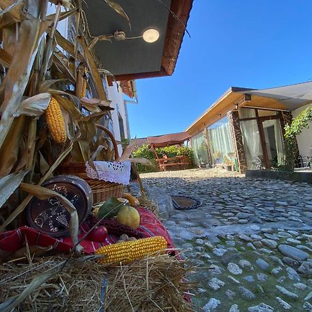 Cazare La Luiza B Sura Mare Dış mekan fotoğraf