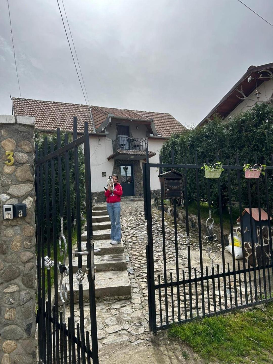 Cazare La Luiza B Sura Mare Dış mekan fotoğraf