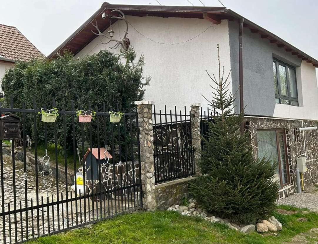 Cazare La Luiza B Sura Mare Dış mekan fotoğraf