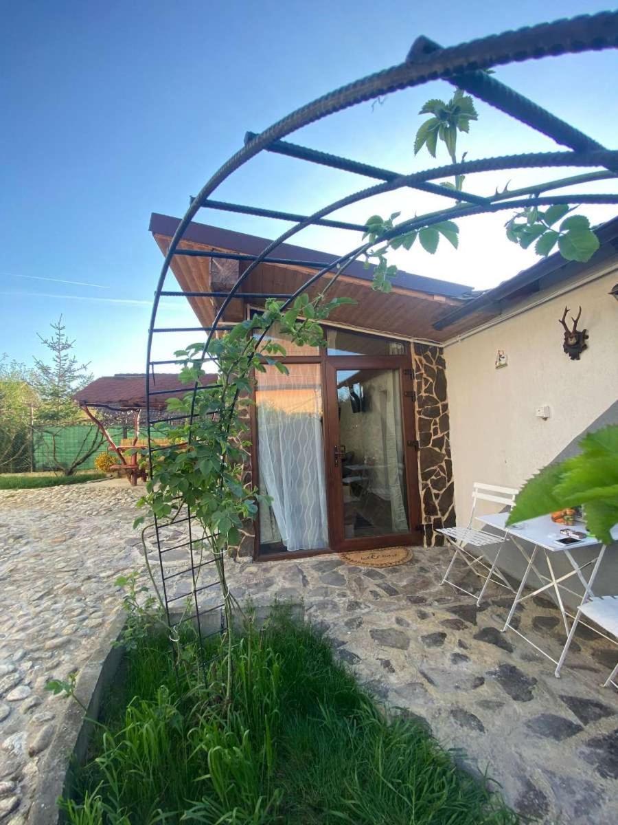 Cazare La Luiza B Sura Mare Dış mekan fotoğraf