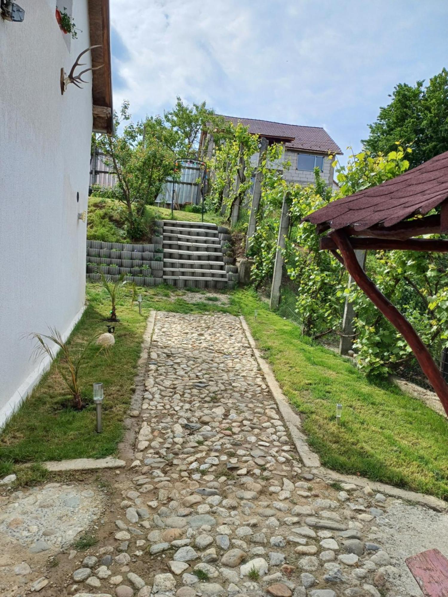 Cazare La Luiza B Sura Mare Dış mekan fotoğraf