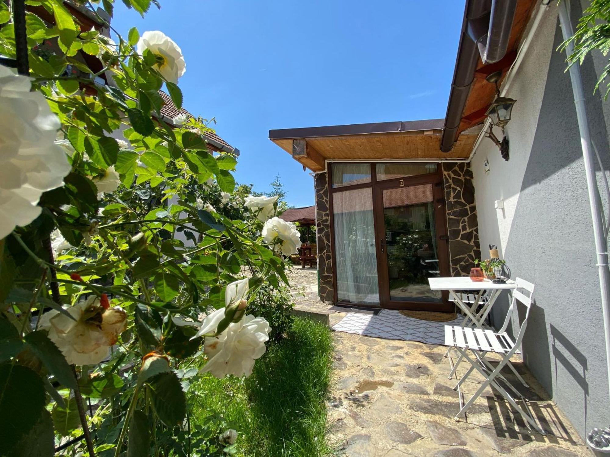 Cazare La Luiza B Sura Mare Dış mekan fotoğraf